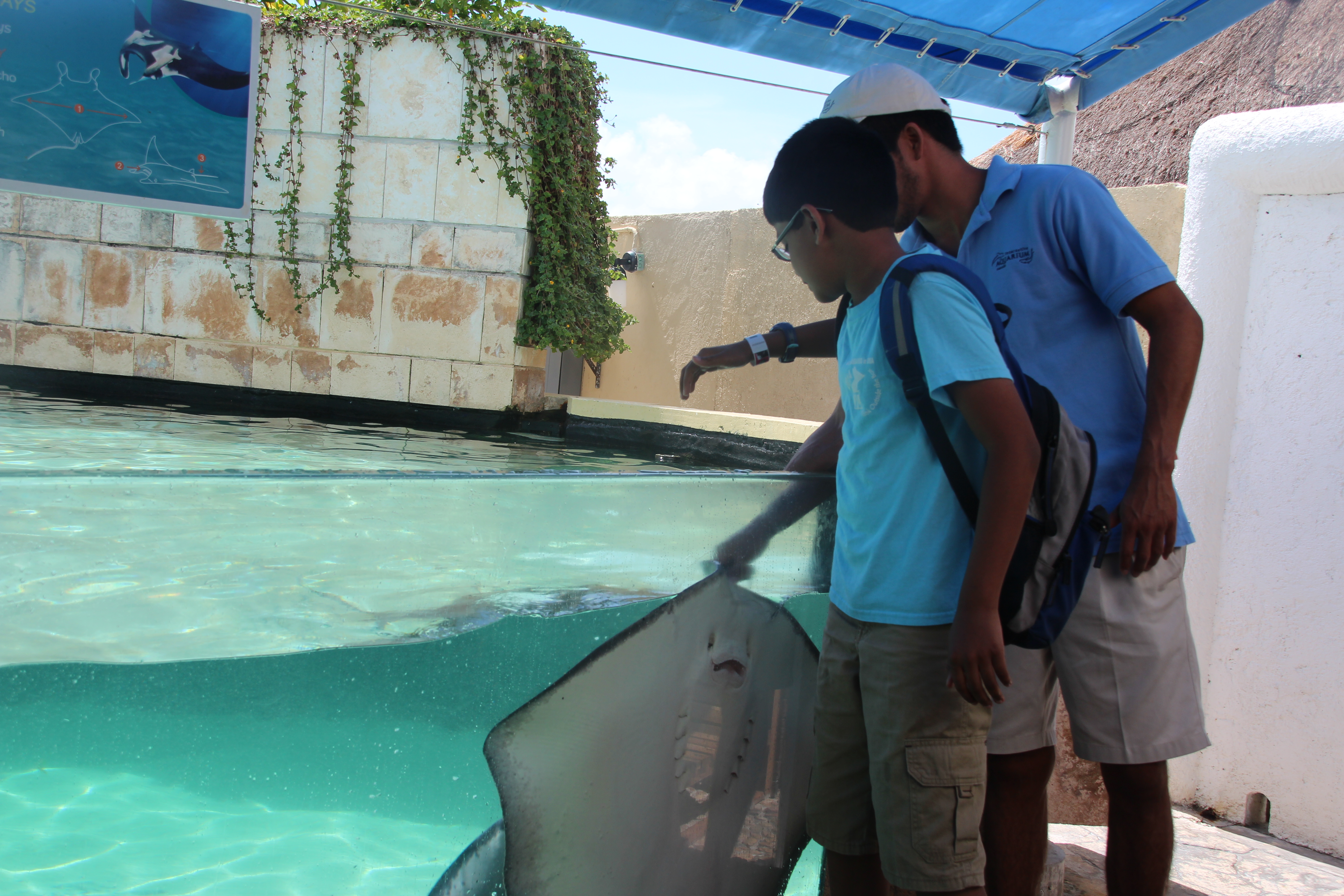 Sting Ray Interaction