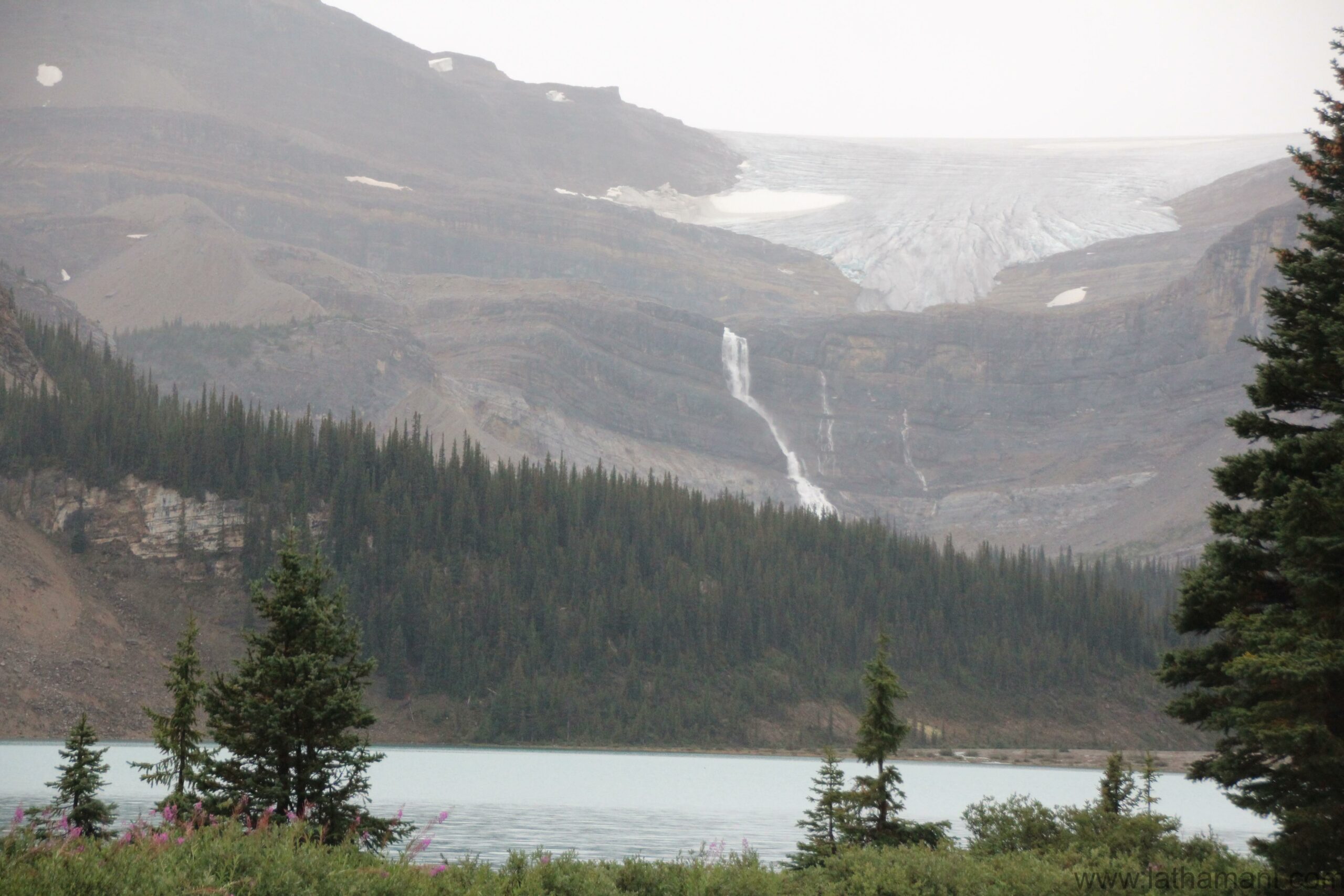 Crowfoot glacier