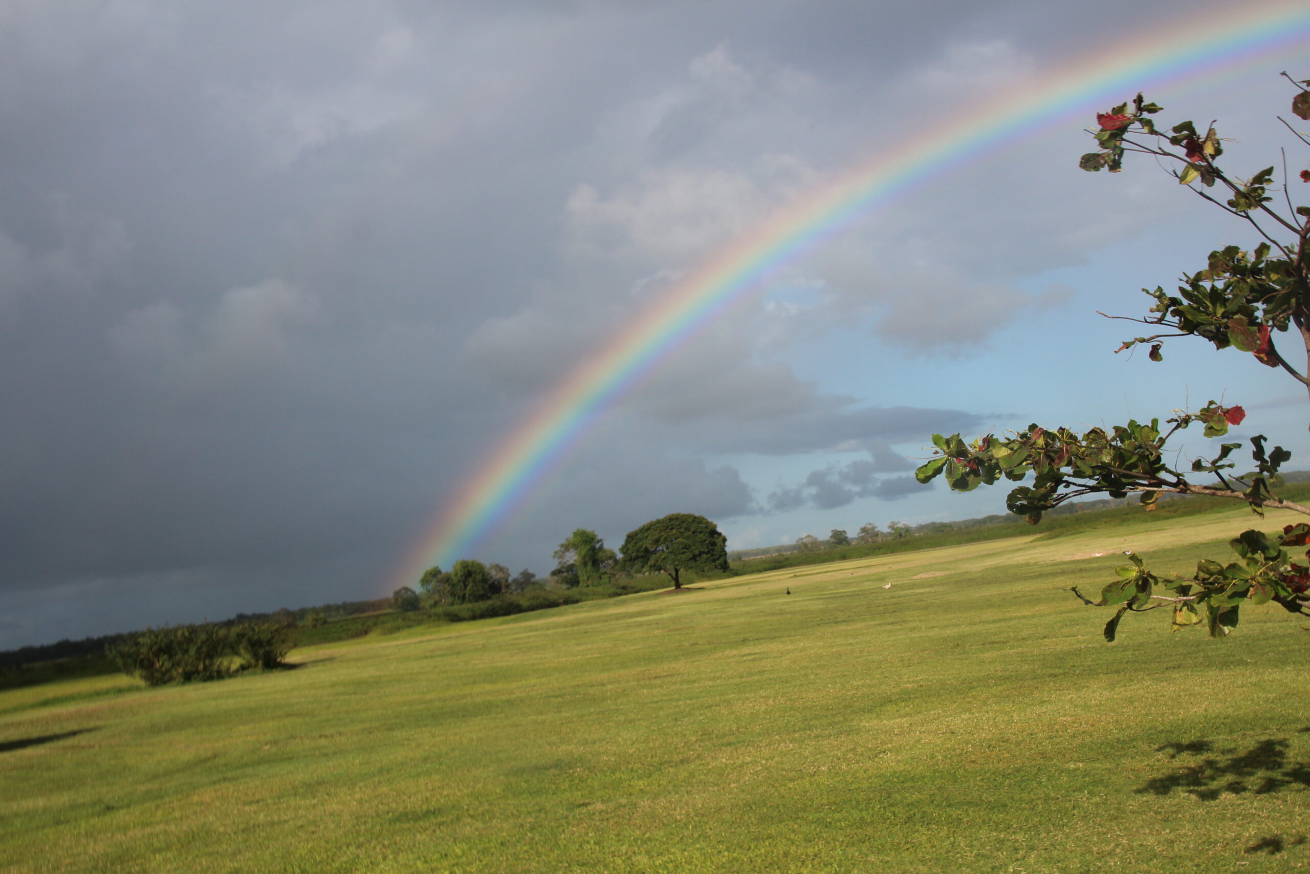 Hacienda Campo Rico farmland