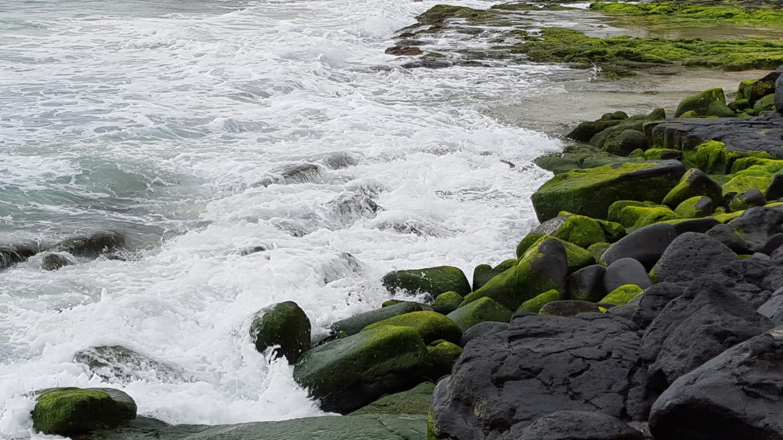 Kealakekua Bay