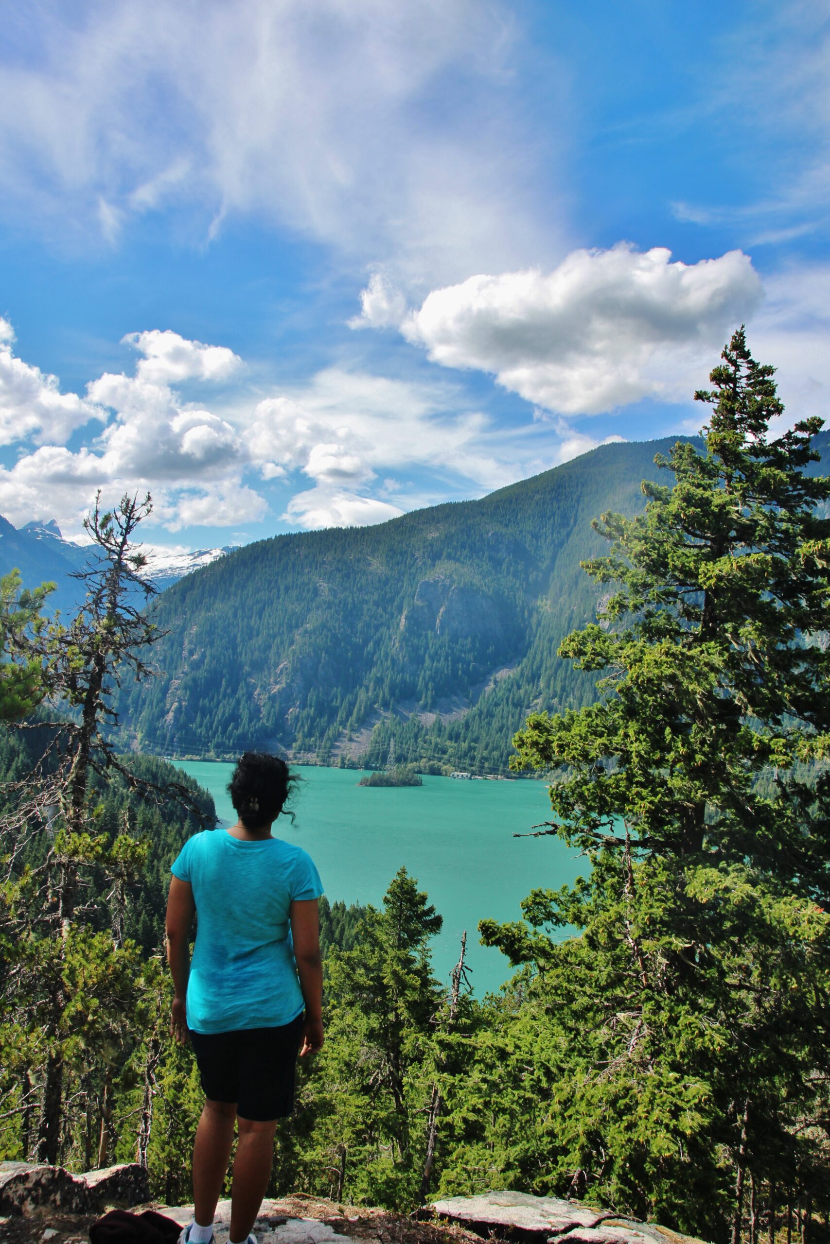 Enjoying the View from Thunder Knob Junction Point