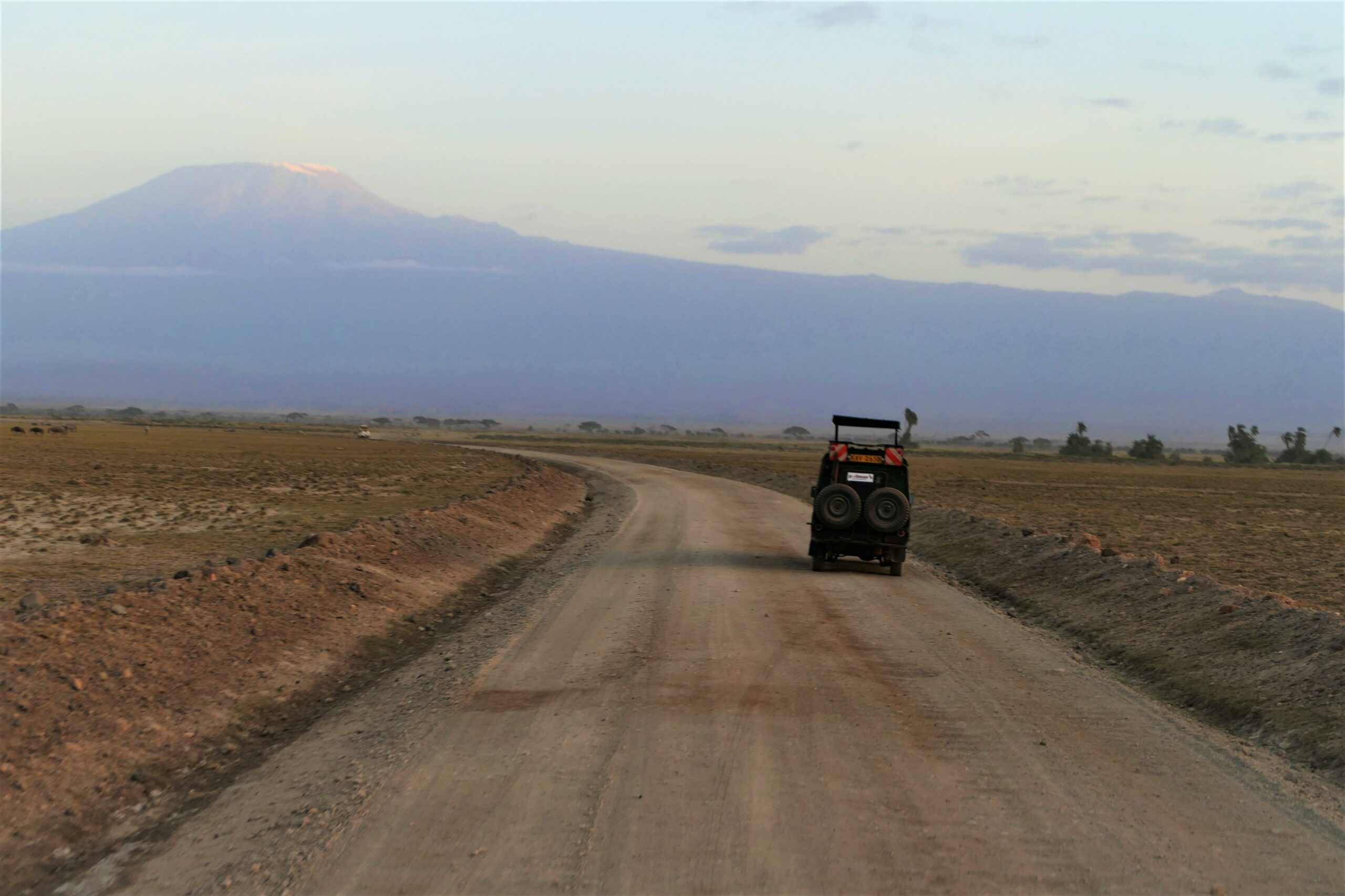 Evening sunset drive facing Kilimanjaro